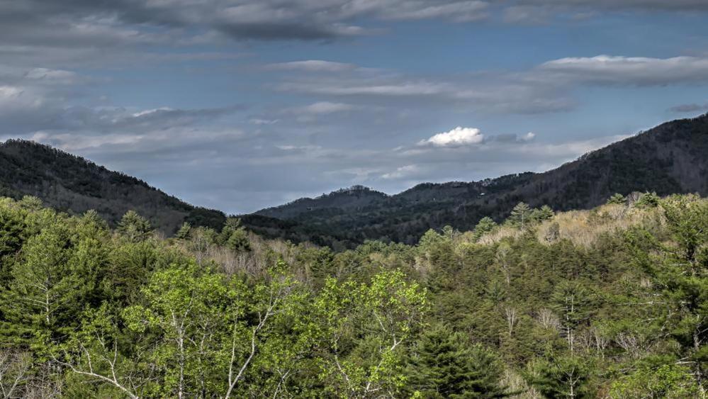 Honey Bear Lodge บลูริดจ์ ภายนอก รูปภาพ